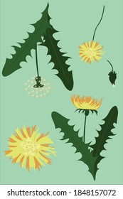 arte de ilustración vectorial de flotadores de dandelion