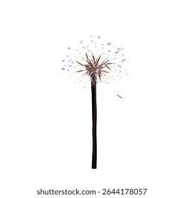 dandelion flower with ambon without background