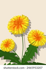 Dandelion flower background.Eps 10 vector.