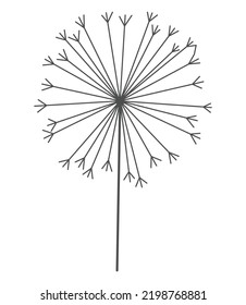 Dandelion flower in black linear style. Nature floral hand drawn stylized decorative blooming silhouette of fluffy seeds flower. Pencil sketched monochrome design element