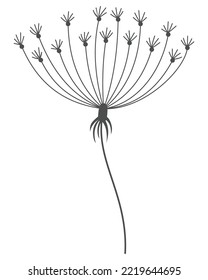 Dandelion flower in black linear style. Nature floral hand drawn stylized decorative blooming silhouette of fluffy seeds flower. Pencil sketched monochrome design element