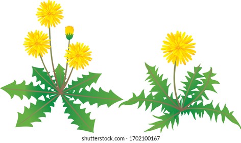 a dandelion flower blooming yellow on top of a hinge