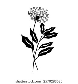 Dandelion flower with botanical leaf silhouette clipart graphic vector illustration