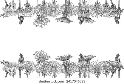 Dandelion flower bouquet hand drawn sketch for drawing book vector illustration isolated on white background