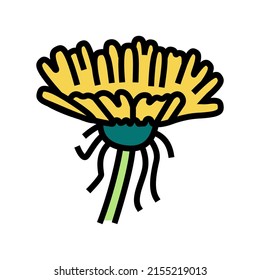 Dandelion Flower Bud Color Icon Vector. Dandelion Flower Bud Sign. Isolated Symbol Illustration