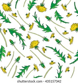 Dandelion flower, bud, leaves hand drawn vector ink color sketch isolated on white,  Vector seamless pattern, graphic floral texture background for cosmetic, design package tea, textile, wallpaper