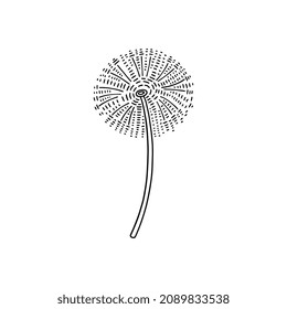 Etiqueta vectorial de brote de flores de Dandelion. Decoración de león de estilo grabado. León blanco y negro con dibujo de garabato de nubes de semillas esponjosas.