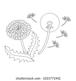 Dandelion Flower cartoon. Outlined colorless illustration with thin line black stroke