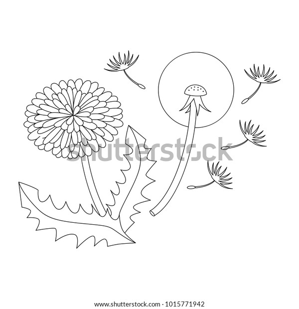 Dandelion Flower Cartoon Outlined Colorless Illustration Stock Vector Royalty Free 1015771942