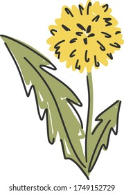 Dandelion flower childish vector illustration. Yellow flowers clip art elements isolated on white background.