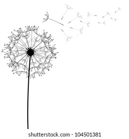 Dandelion flower desing design