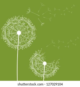 Dandelion flower desing design