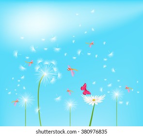Dandelion flower field over blue sky