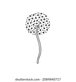 Dandelion flower with fluffy cloud around its stem. Black and white botany decoration. Soft and elegant dandelion vector silhouette, great for home deco.