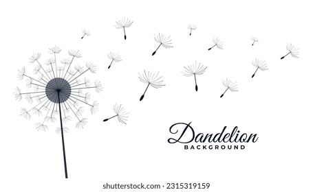 dandelion flower with flying seeds make a wish concept background