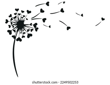 Dandelion flower with hearts love concept isolated on white background