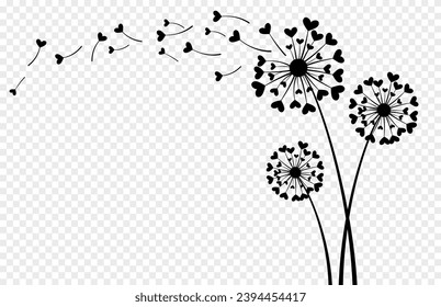 Dandelion flower with hearts love concept isolated on transparent background.Vector illustration