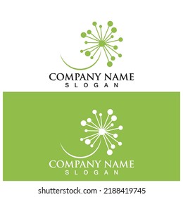 dandelion flower icon vector illustration template design