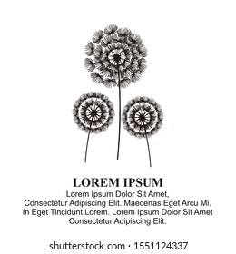 Dandelion Flower illustration logo, icon, or can use for decoration ornament