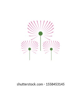 Dandelion flower illustration logo vector template