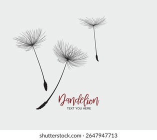 Dandelion flower logo simple creative template on white background .