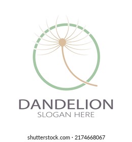 Dandelion flower logo with stem and leaves. Using modern vector concept design symbol icon illustration