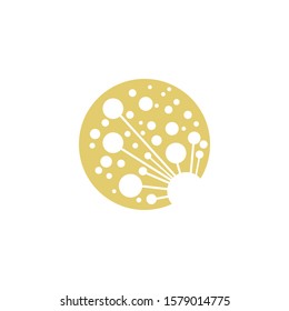 Dandelion Flower  Logo Template vector symbol nature