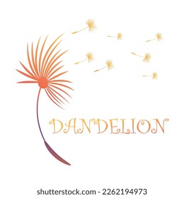 Dandelion flower logo vector and symbol template