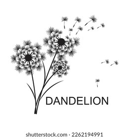 Dandelion flower logo vector and symbol template