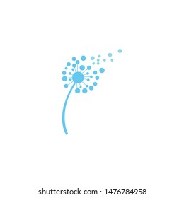 Dandelion flower logo vector template