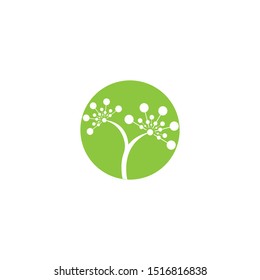 DANDELION FLOWER LOGO VECTOR TEMPLATE