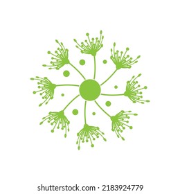Dandelion flower logo vector template design