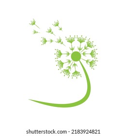 Dandelion flower logo vector template design