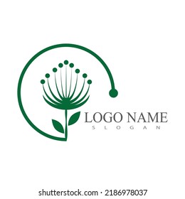 Dandelion flower logo vector template design