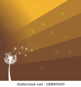 Dandelion Flower Nature Floral Background