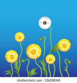 Dandelion flower on a green background. Vector.
