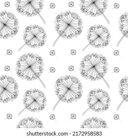 Dandelion flower seamless pattern. Linear Dandelion flower in white background. vector illustration