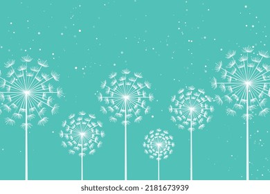 dandelion flower seeds design background