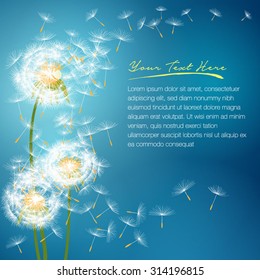 Dandelion flower with seeds flying away with the wind - vector spring background
