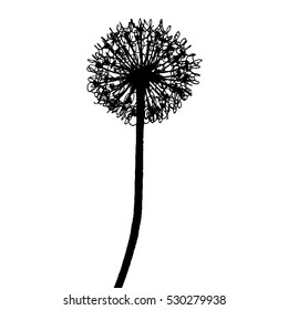 Dandelion flower set with flying seeds. Ink plant drawing. Floral silhouette. Botanical illustration. Vector design.