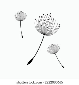 Dandelion flower simple creative template on white background . Vector design