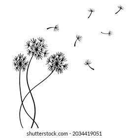 Dandelion flower sketch with flying seeds.