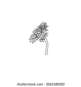 Dandelion flower vector drawing set. Isolated wild plant and flying seeds. Herbal engraved style illustration. Detailed botanical sketch