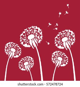 Dandelion flower vector illustration. Background with white blowball