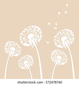 Dandelion flower vector illustration. Background with white blowball