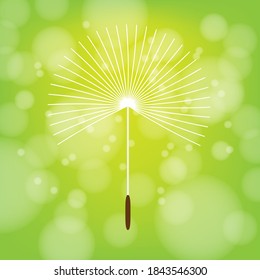 Modelo de diseño de icono del logo del vector de la flor de Dandelion sobre fondo de bokeh verde. Ilustración vectorial moderna