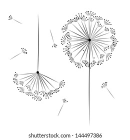 Dandelion flower for your design