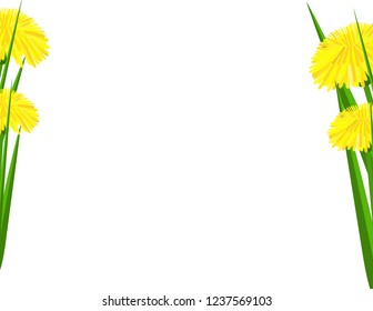 Dandelion flowers background