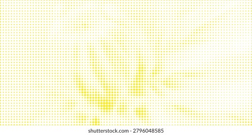 Dandelion flowers. Creative layout of flowers. Background concept. Black Background. Close up. Lay flat. Nature concept
