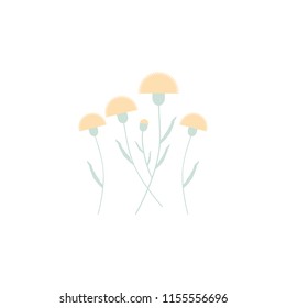 dandelion flowers. Element of flower for mobile concept and web apps. Colored dandelion flowers can be used for web and mobile
